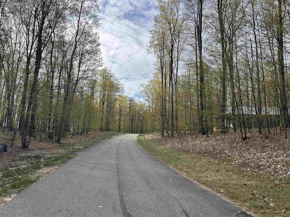 Hawks Eye Drive Kearney Township, MI 49615