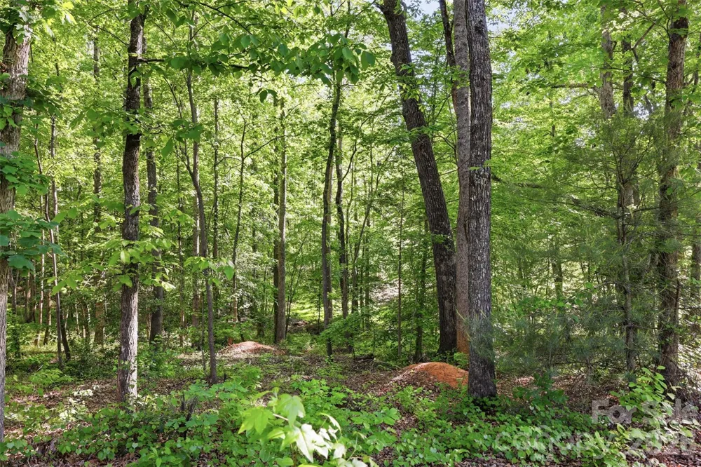 296 Broken Arrow Drive Statesville, NC 28677