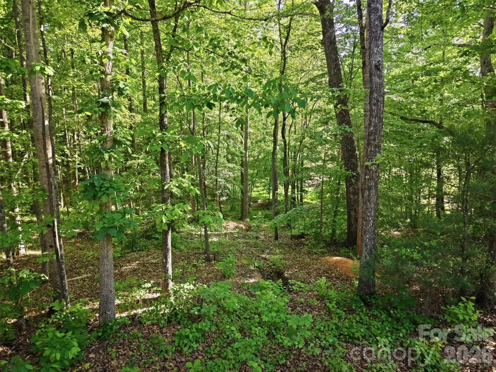 296 Broken Arrow Drive Statesville, NC 28677
