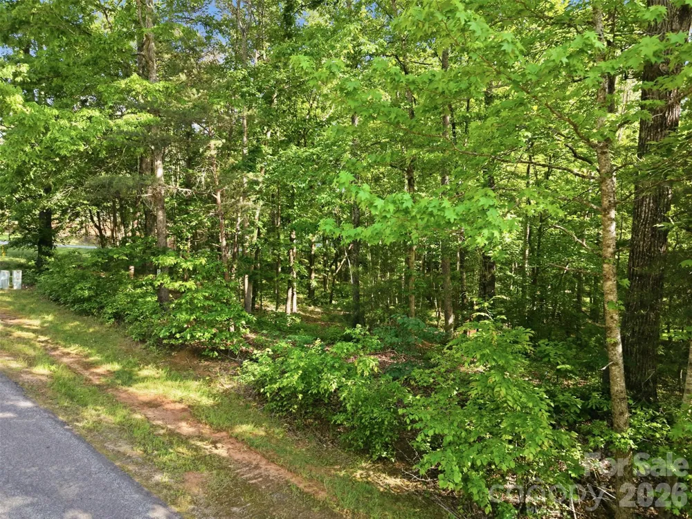 296 Broken Arrow Drive Statesville, NC 28677