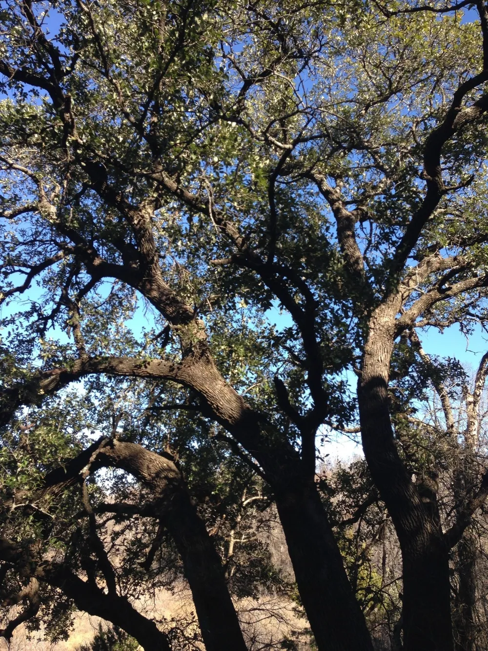Balcones Lane Possum Kingdom Lake, TX 76449