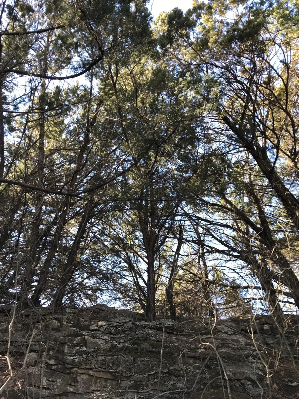 Balcones Lane Possum Kingdom Lake, TX 76449