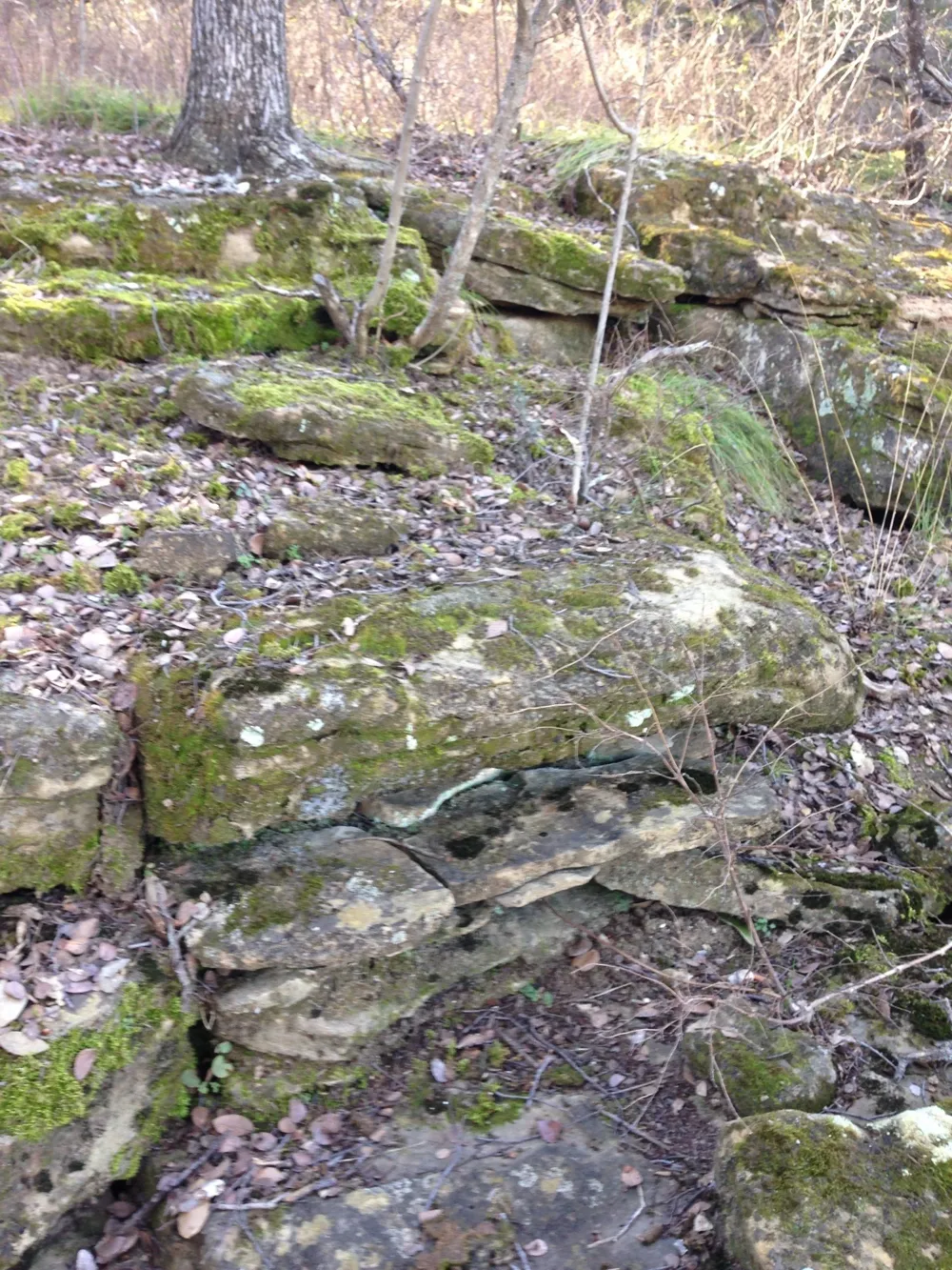 Balcones Lane Possum Kingdom Lake, TX 76449