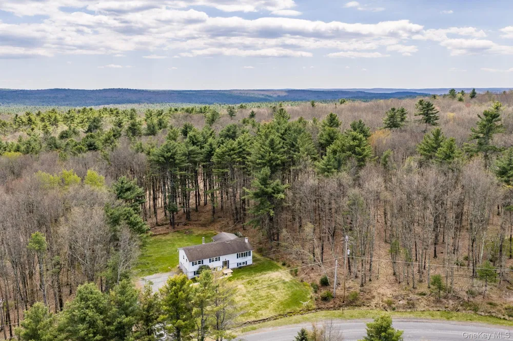 87 Airport Road Eldred, NY 12732