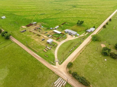 1010 County Road 382