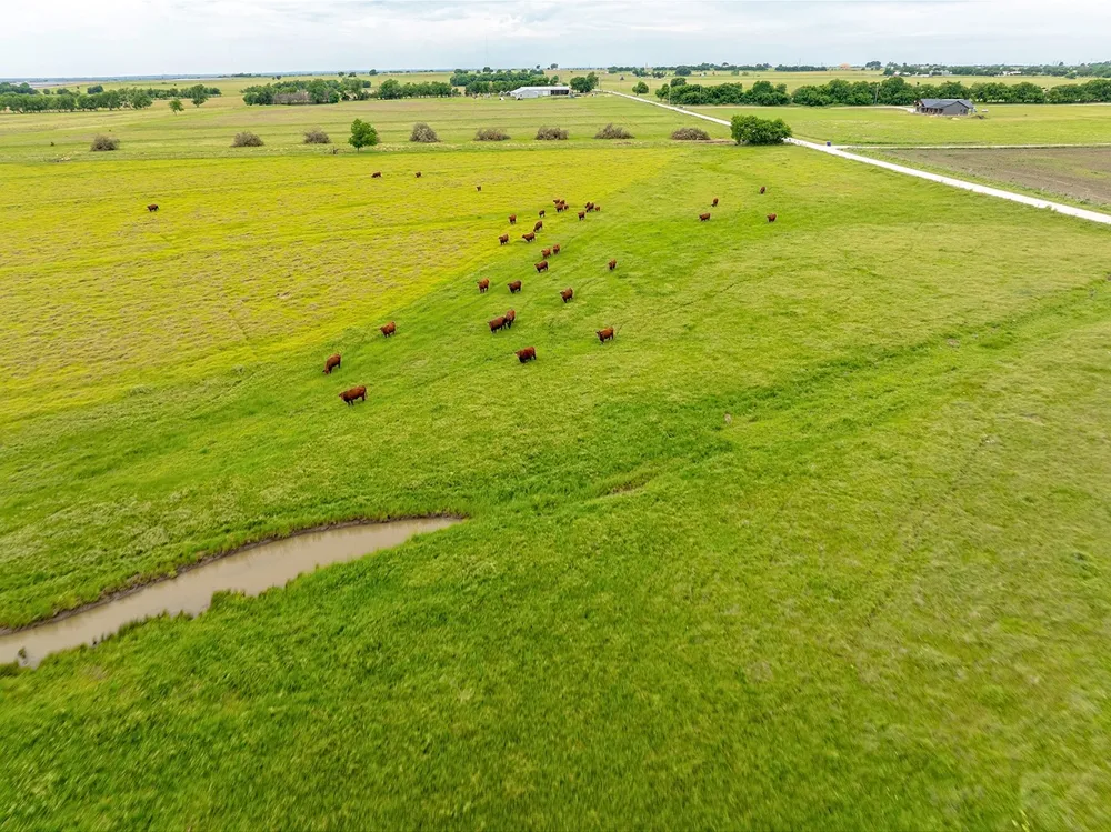 1010 County Road 382 Era, TX 76238