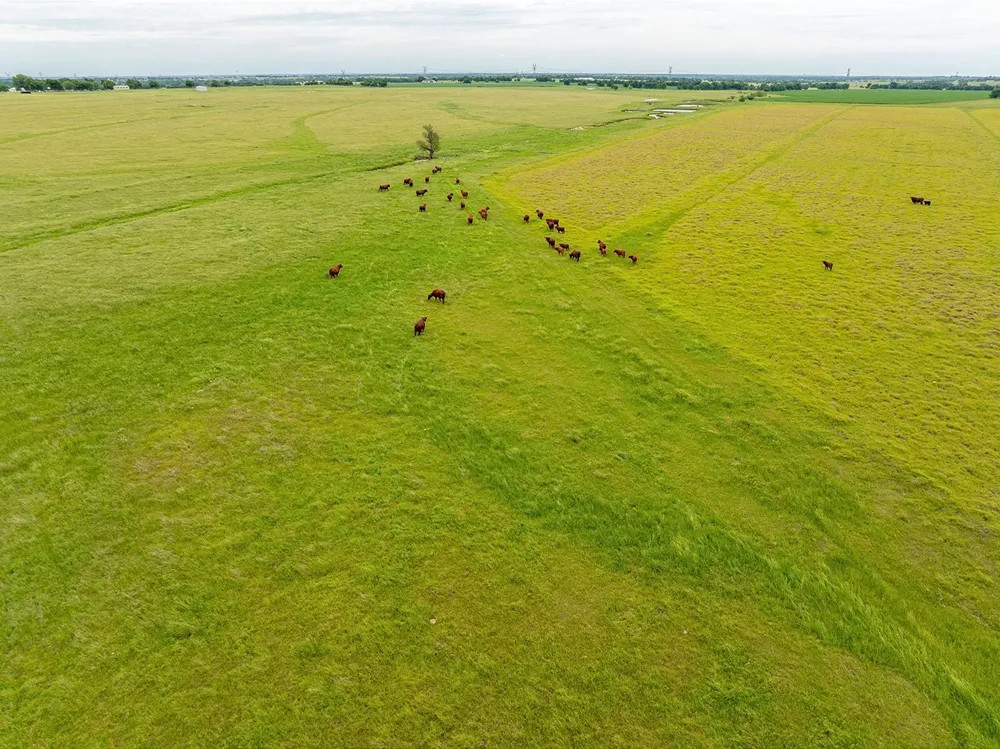 1010 County Road 382 Era, TX 76238