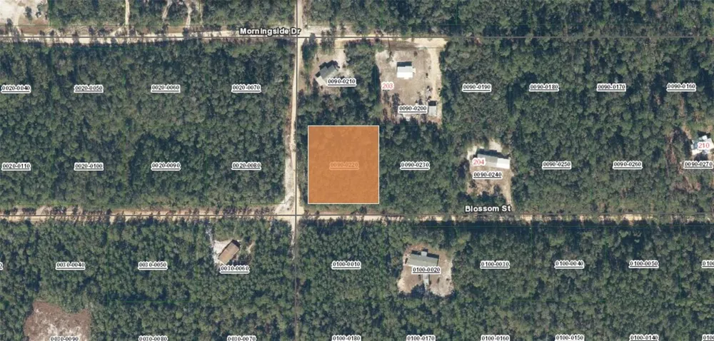 XX BLOSSOM Florahome, FL 32140