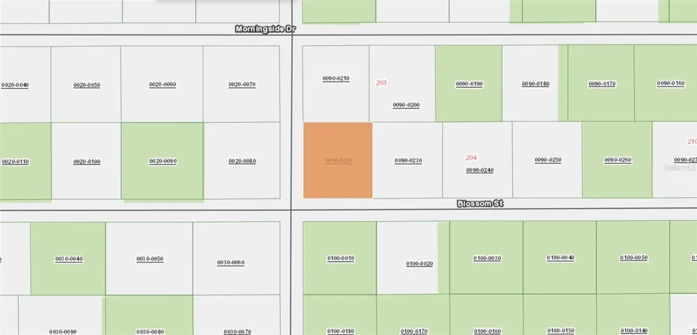XX BLOSSOM Florahome, FL 32140