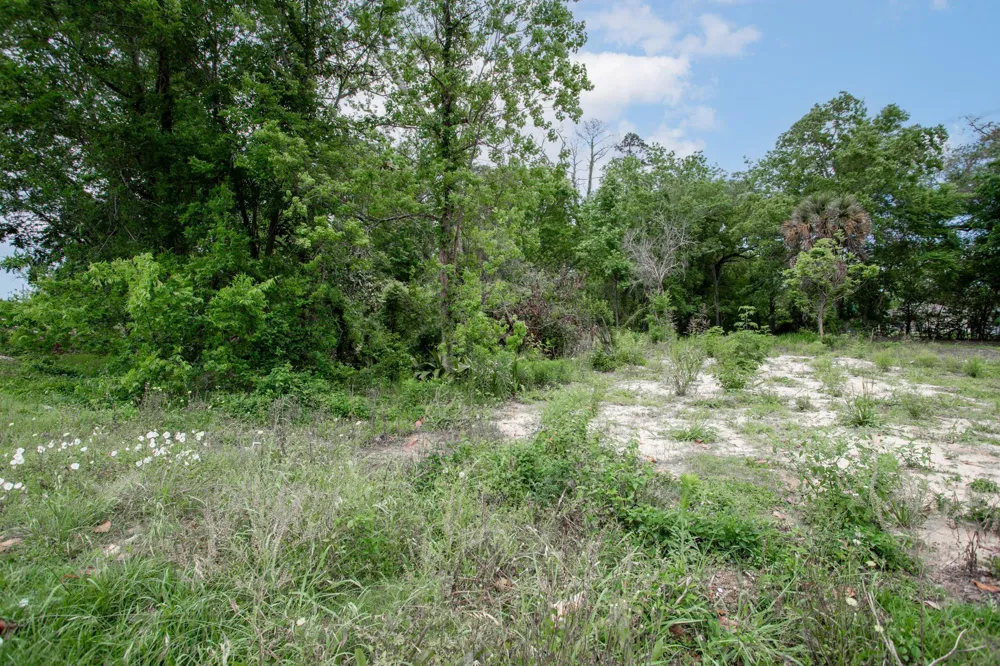 3665 Concord Road Beaumont, TX 77703