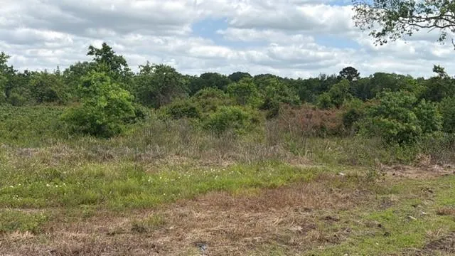 1711 County Road 773 Angleton, TX 77515