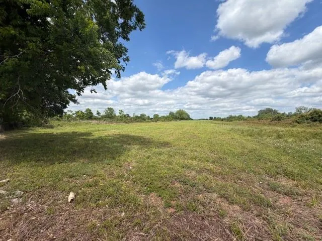 1711 County Road 773 Angleton, TX 77515