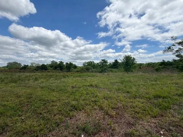 1711 County Road 773 Angleton, TX 77515