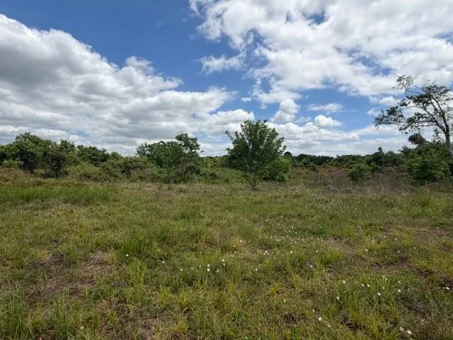 1711 County Road 773 Angleton, TX 77515
