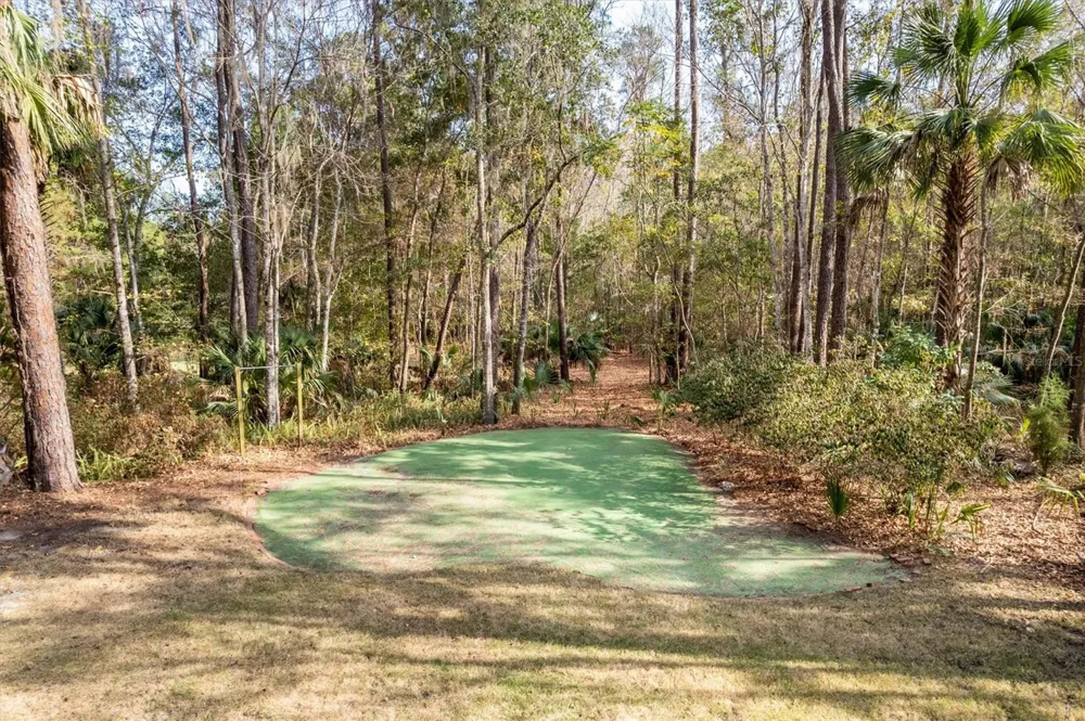 22675 NW 75TH AVENUE ROAD Micanopy, FL 32667