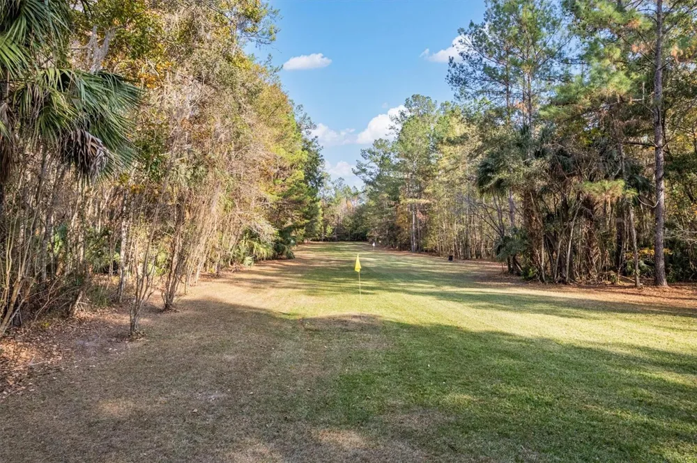 22675 NW 75TH AVENUE ROAD Micanopy, FL 32667