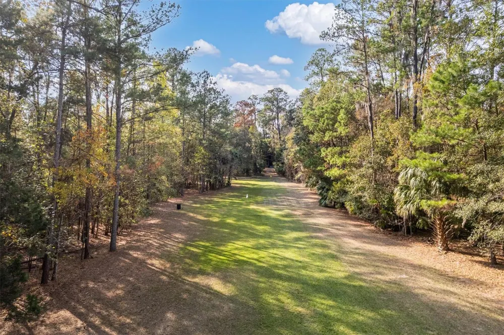 22675 NW 75TH AVENUE ROAD Micanopy, FL 32667