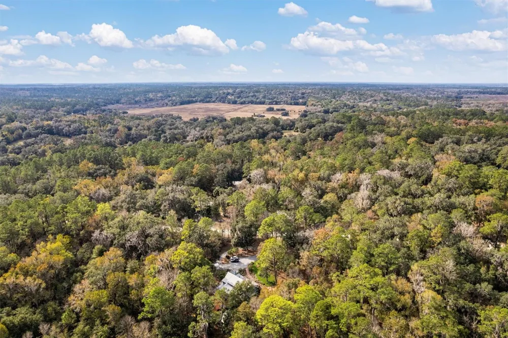 22675 NW 75TH AVENUE ROAD Micanopy, FL 32667