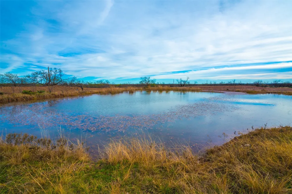8500 County Road 121 Cross Plains, TX 76801
