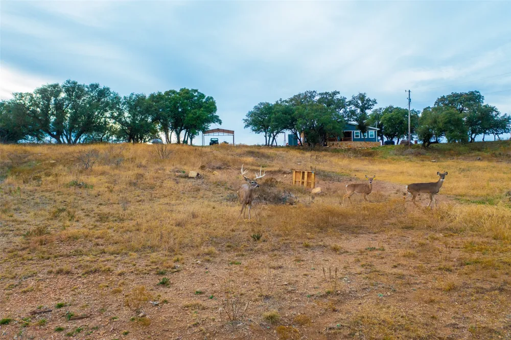8500 County Road 121 Cross Plains, TX 76801