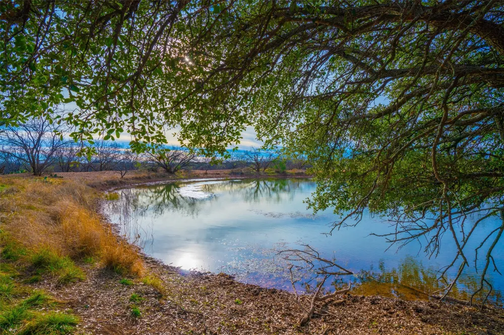 8500 County Road 121 Cross Plains, TX 76801
