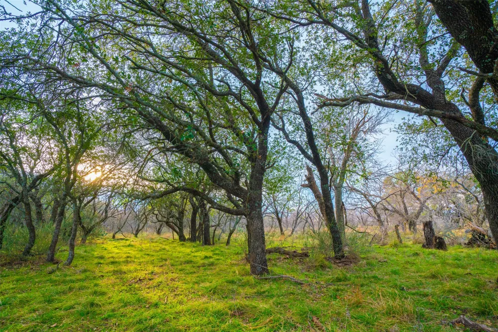 8500 County Road 121 Cross Plains, TX 76801