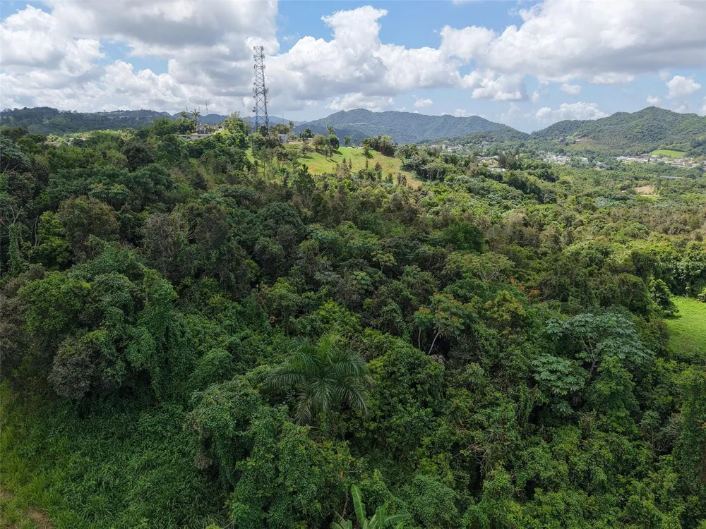 PR 7718 KM 3.6 PASTO WARD Aibonito, PR 00705