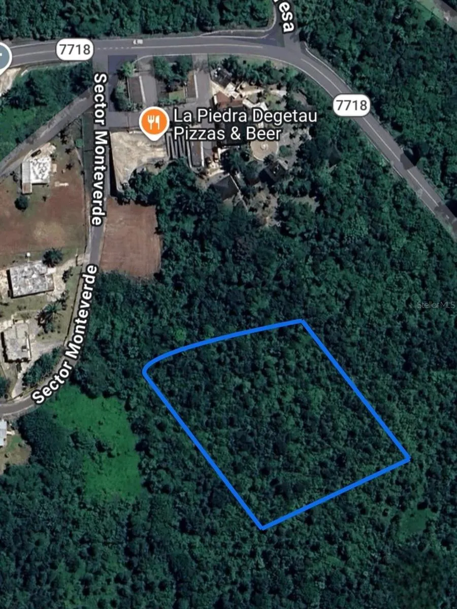PR 7718 KM 3.6 PASTO WARD Aibonito, PR 00705
