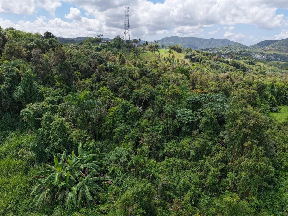 PR 7718 KM 3.6 PASTO WARD Aibonito, PR 00705