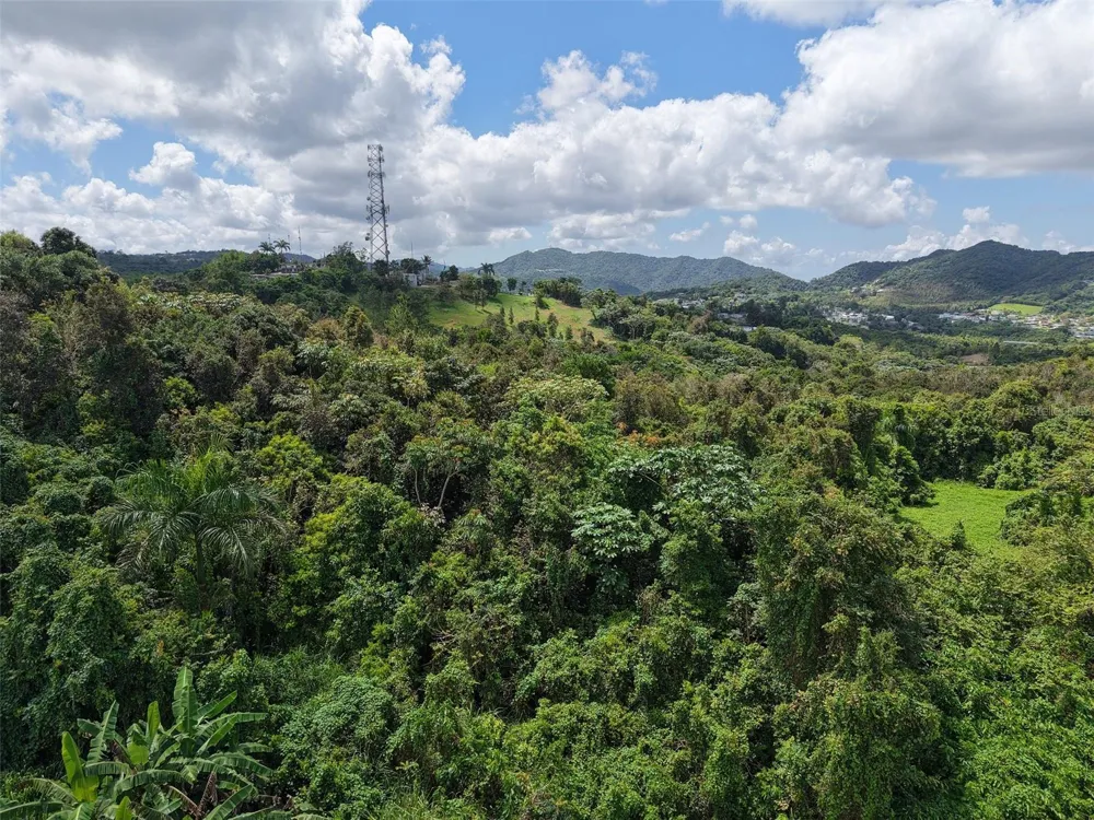 PR 7718 KM 3.6 PASTO WARD Aibonito, PR 00705