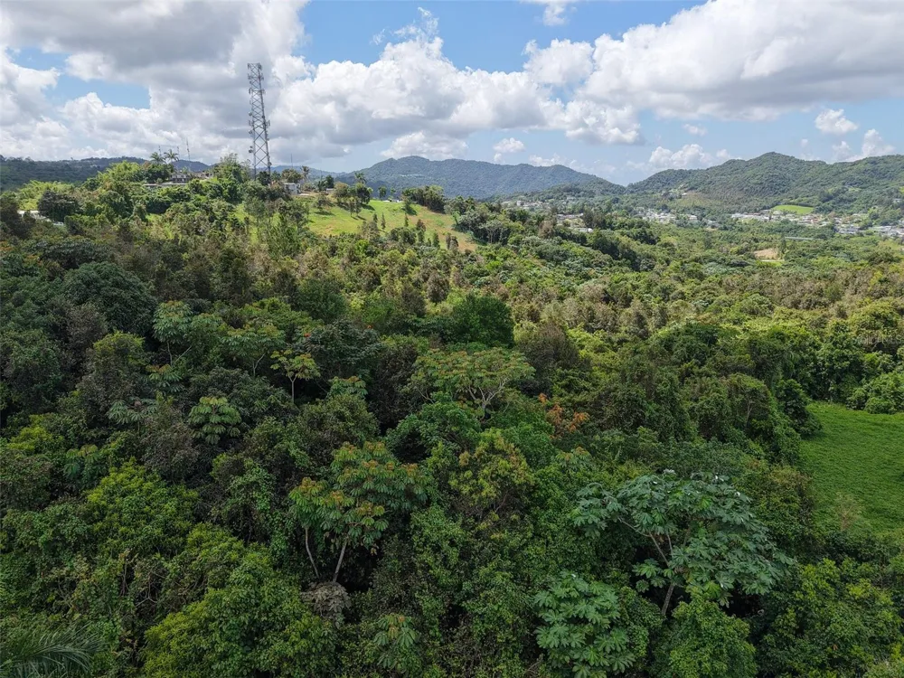 PR 7718 KM 3.6 PASTO WARD Aibonito, PR 00705