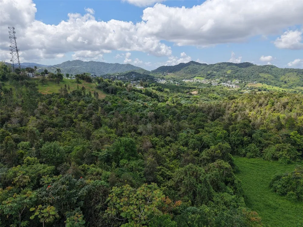 PR 7718 KM 3.6 PASTO WARD Aibonito, PR 00705