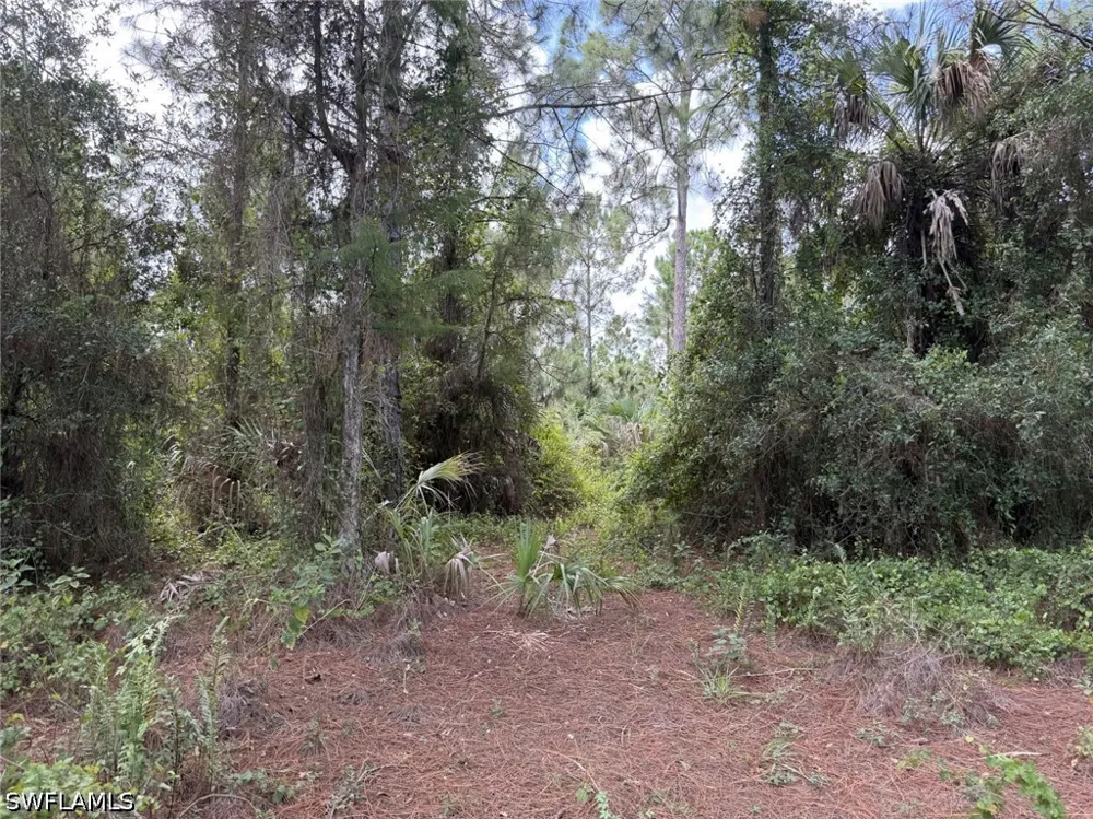 Woodland Grade Private Road Naples, FL 34117