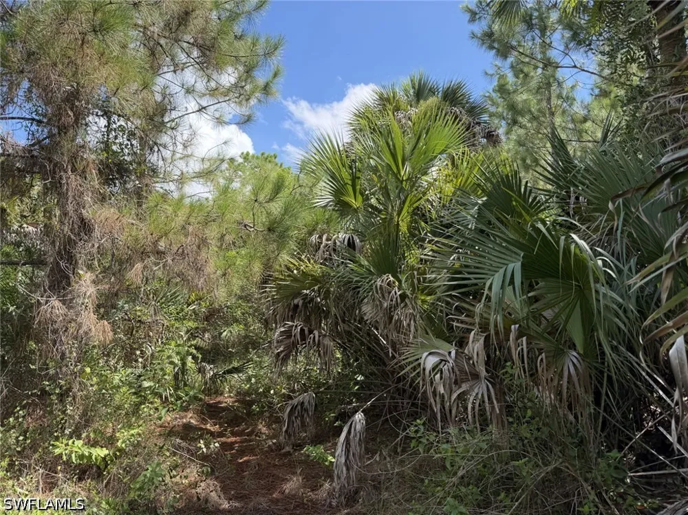 Woodland Grade Private Road Naples, FL 34117