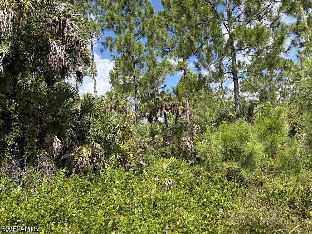 Woodland Grade Private Road Naples, FL 34117