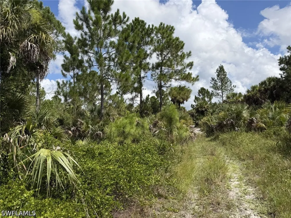 Woodland Grade Private Road Naples, FL 34117