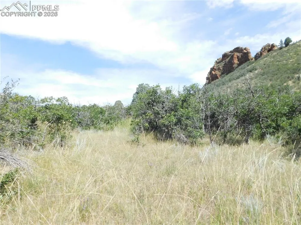 5967 Country Club Drive Larkspur, CO 80118