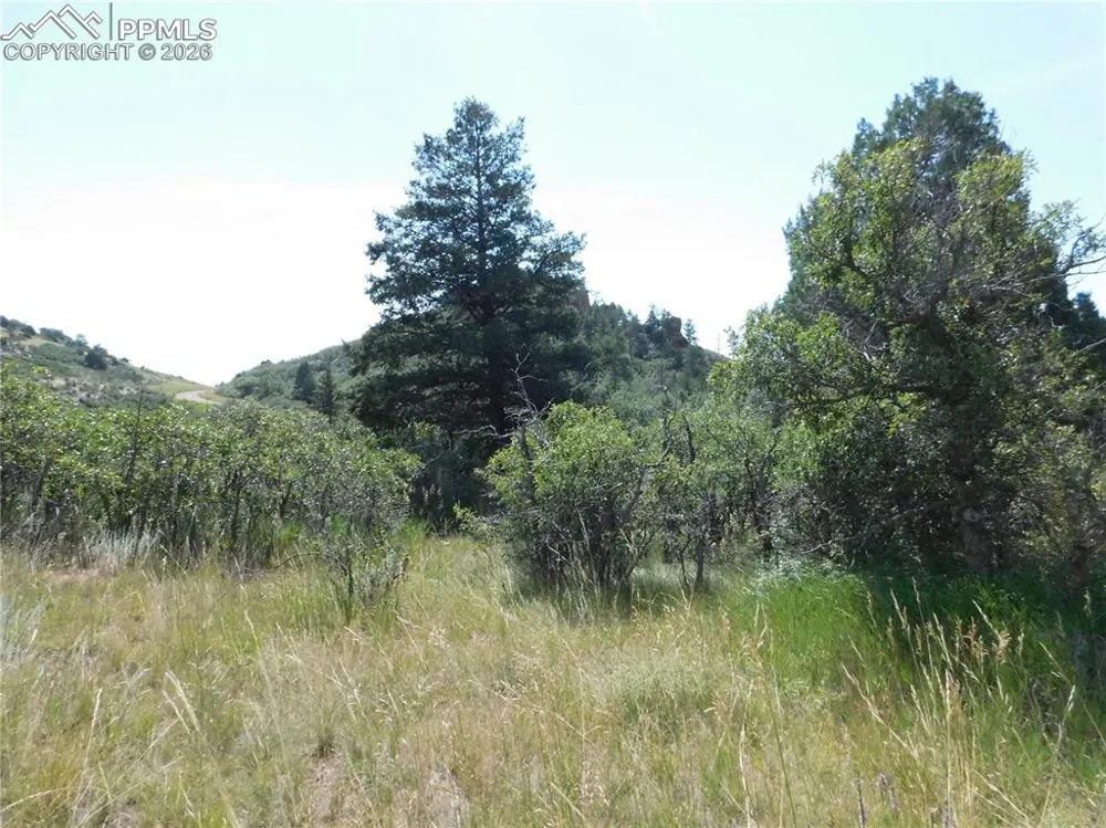 5967 Country Club Drive Larkspur, CO 80118