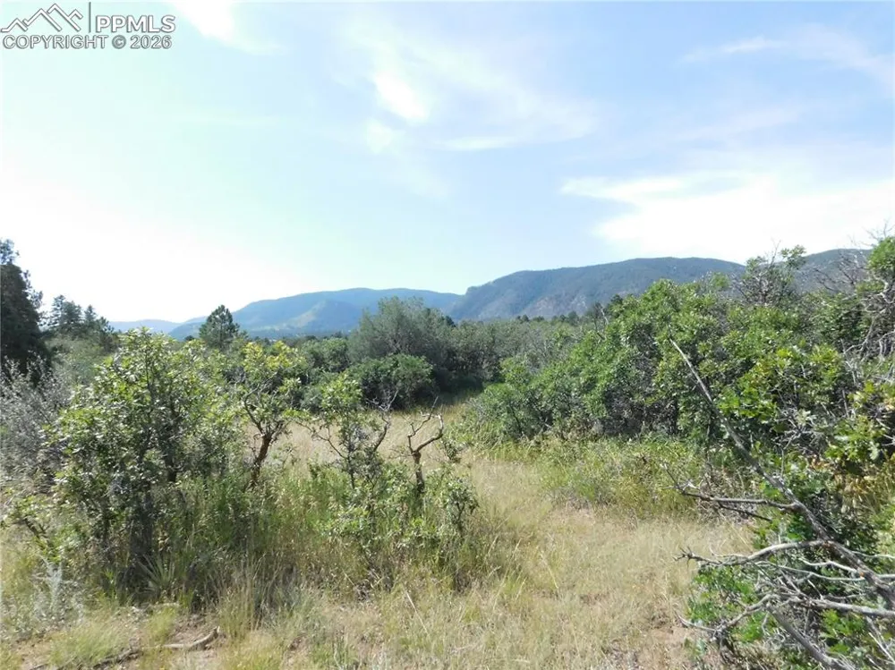 5967 Country Club Drive Larkspur, CO 80118
