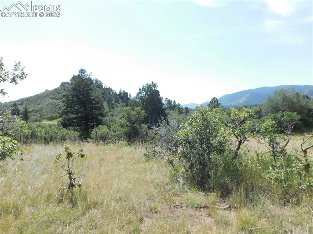 5967 Country Club Drive Larkspur, CO 80118
