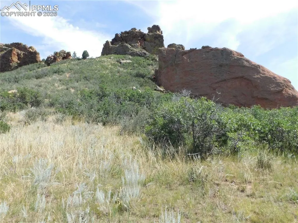 5967 Country Club Drive Larkspur, CO 80118