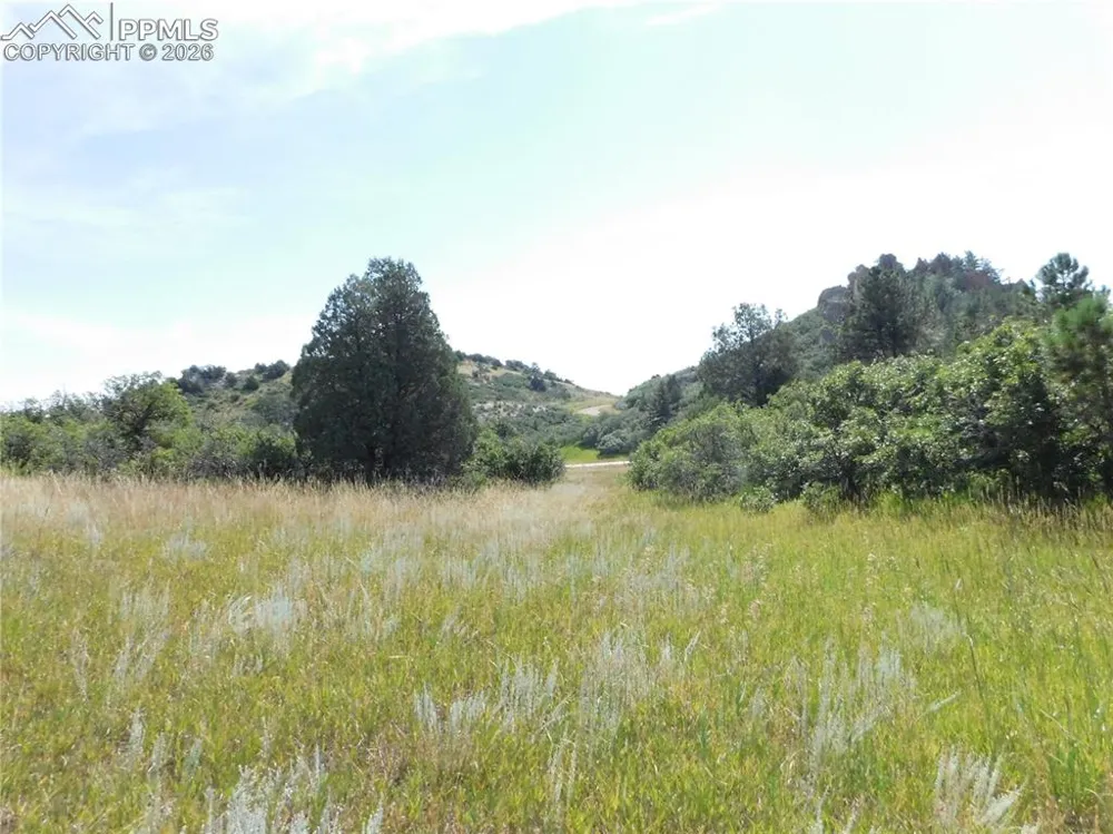 5967 Country Club Drive Larkspur, CO 80118