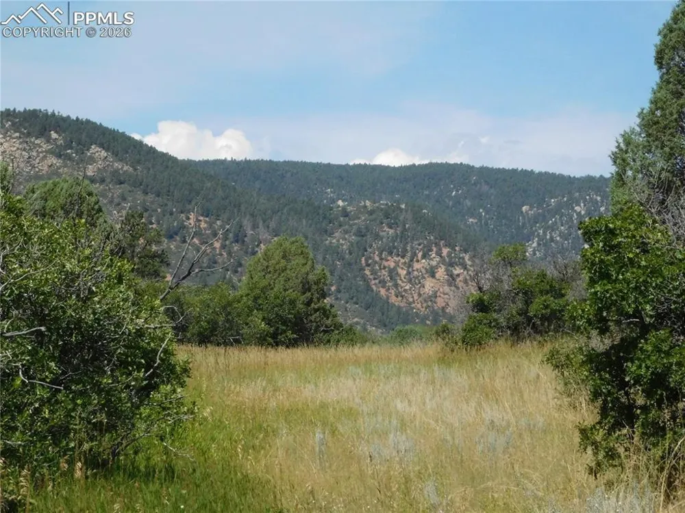 5967 Country Club Drive Larkspur, CO 80118