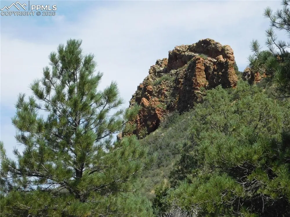 5967 Country Club Drive Larkspur, CO 80118