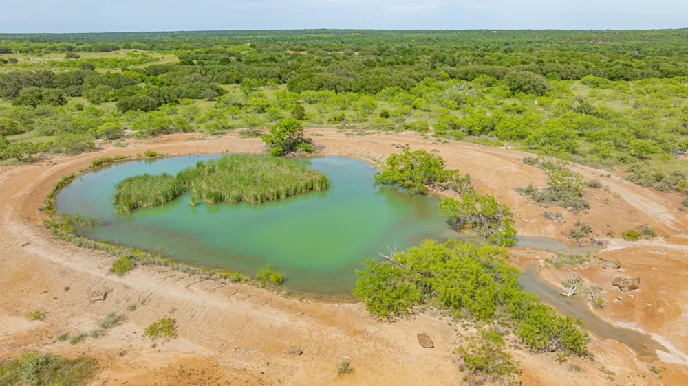 136 Moose Trail Ranger, TX 76470