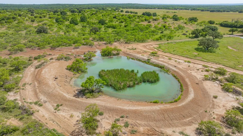 136 Moose Trail Ranger, TX 76470