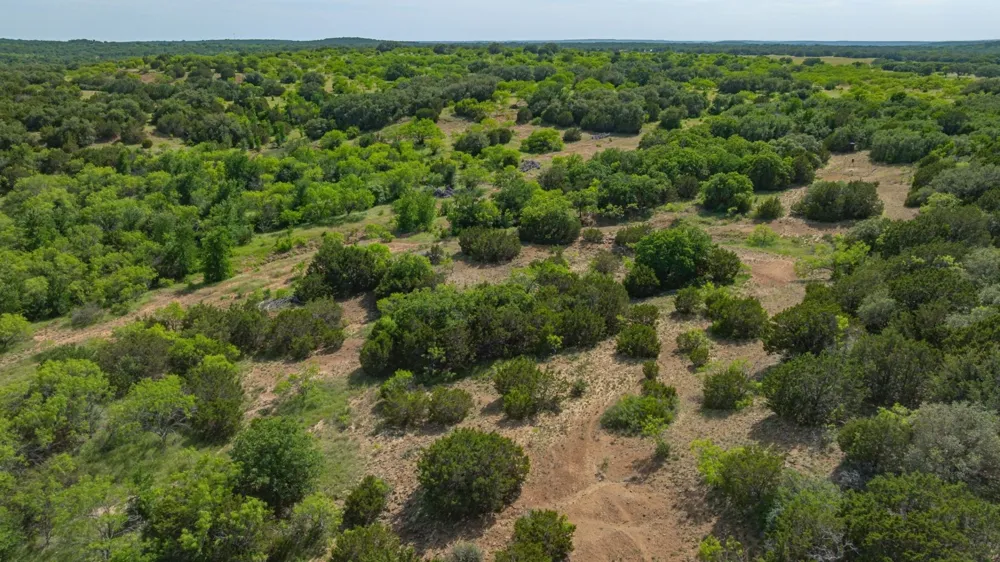 136 Moose Trail Ranger, TX 76470