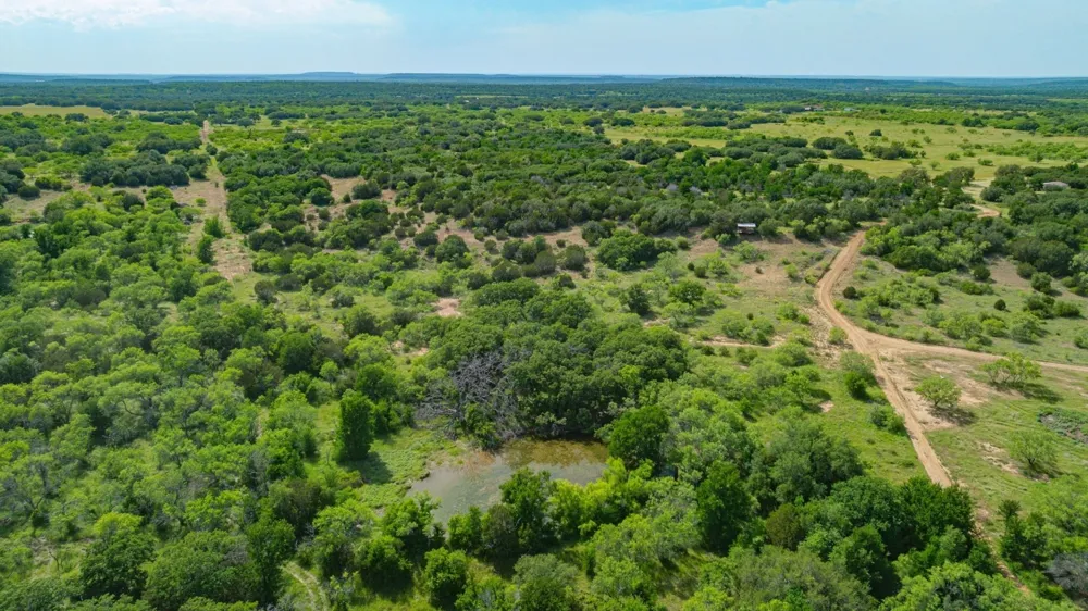 136 Moose Trail Ranger, TX 76470