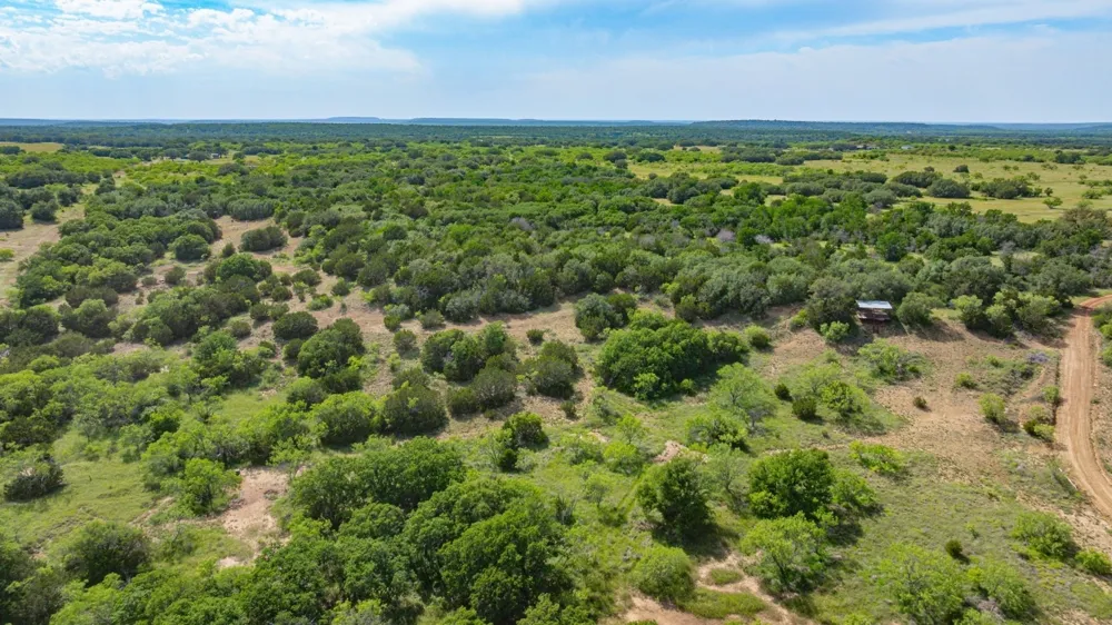 136 Moose Trail Ranger, TX 76470