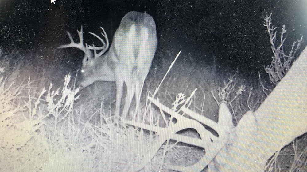 136 Moose Trail Ranger, TX 76470